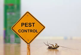 Cockroach and termite pest control services in Pune